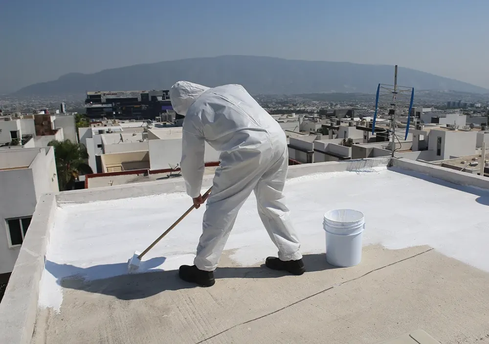 peinture toiture en cours